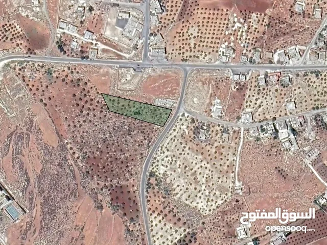 Farm Land for Sale in Zarqa Al-Kamsha