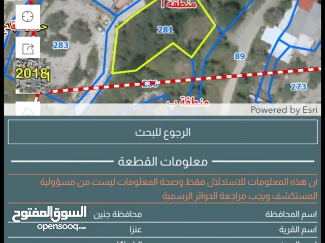 Residential Land for Sale in Jenin Anza