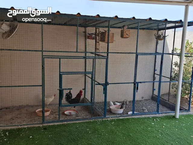 بيع عاجل حاجه للمبلغ...معروض للبيع قفص كبير