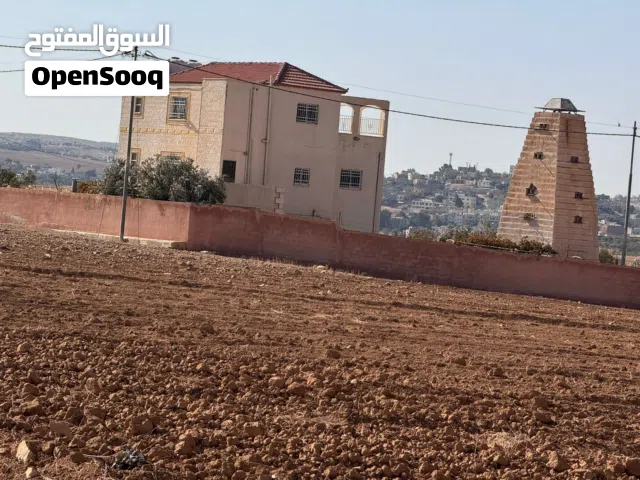Farm Land for Sale in Madaba Dalilet Al-Hamaideh