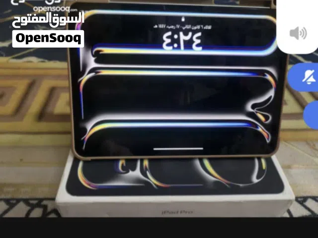 Apple iPad Pro 11 256 GB in Basra