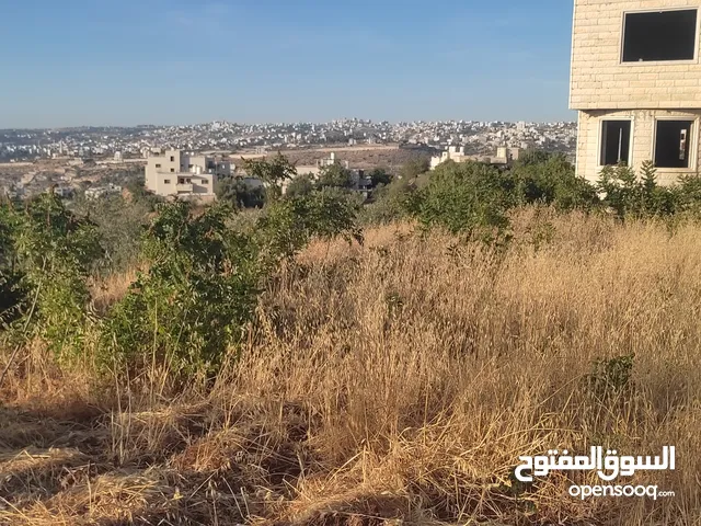 أرض مميزة للبيع