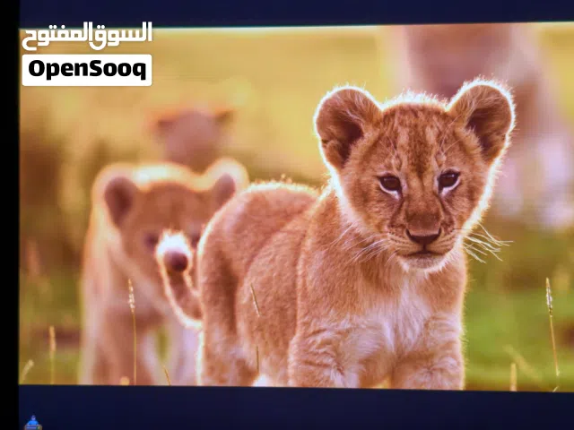 Apple iPad 2 256 GB in Jenin