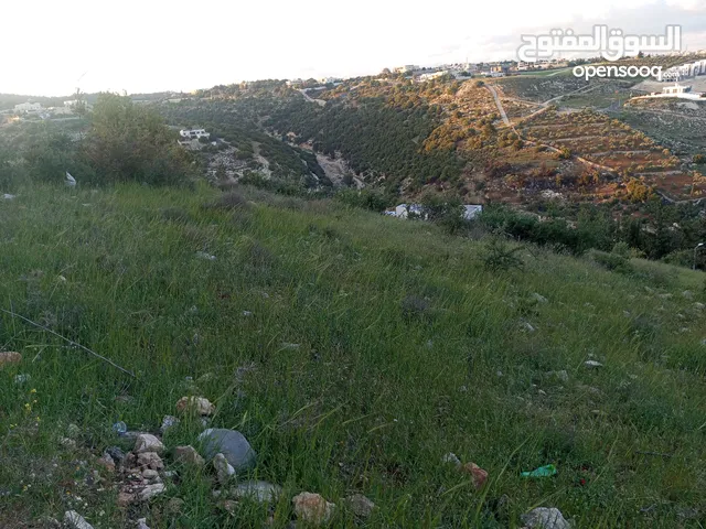 اراضي للبيع بجميع المساحات ذو اطلاله غربيه منطقة فلل في منطقة بدر الجديده