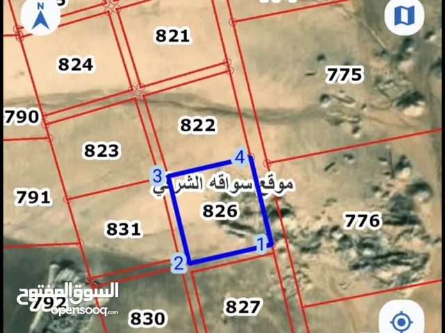 Farm Land for Sale in Amman Umm Al-Rasas
