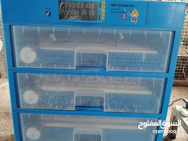 للبيع فقاسة بيض