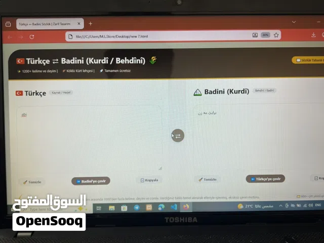 Advanced Turkish to Badini Translation Website