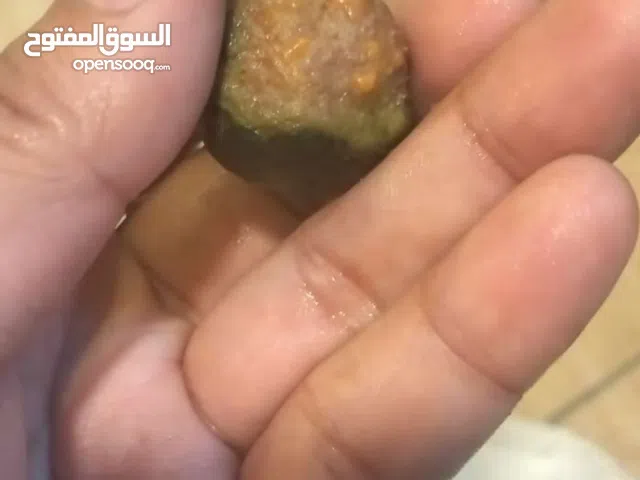 original rudraksha fruits