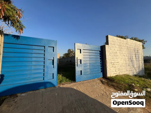 ارض بعد غوط الديس. ف طريق البازيد