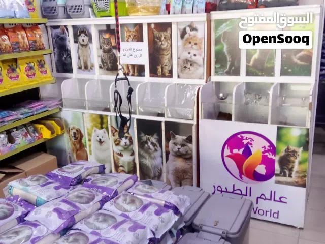 محل  تجاري للبيع (خلو) بموقع حيوي ومميز  موقع المحل/ المقابلين إشارة مطعم ابو زغلة بجانب سوبرماركت ا