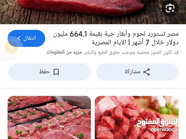 الحوم لموت الجنائز أهلن بكم