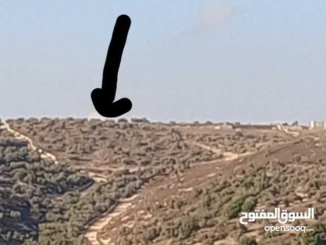 ارض زراعية صالحة للبناء