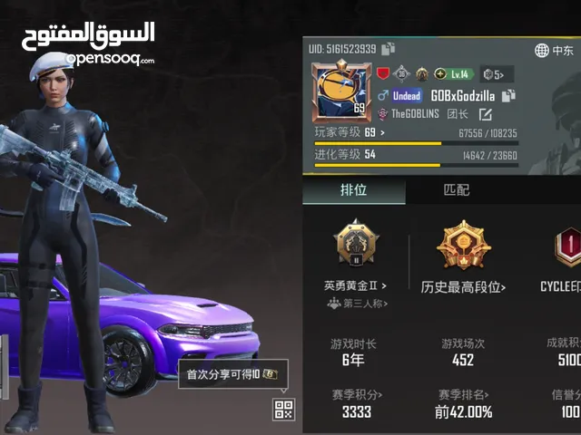 Pubg Accounts and Characters for Sale in Al Rayyan