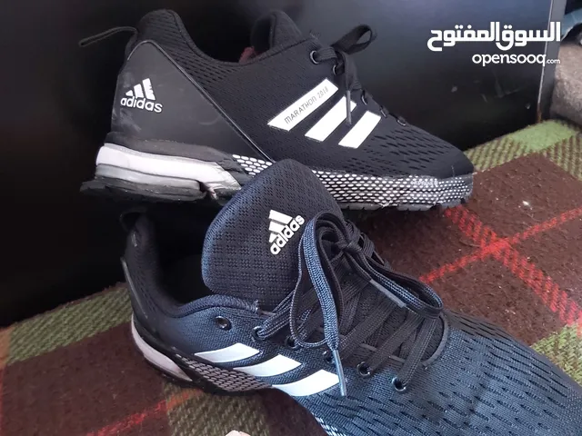 41.5 Sport Shoes in Amman