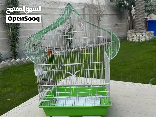 قفص نظيف للبيع