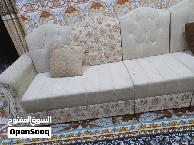 تخم قنفات للبيع