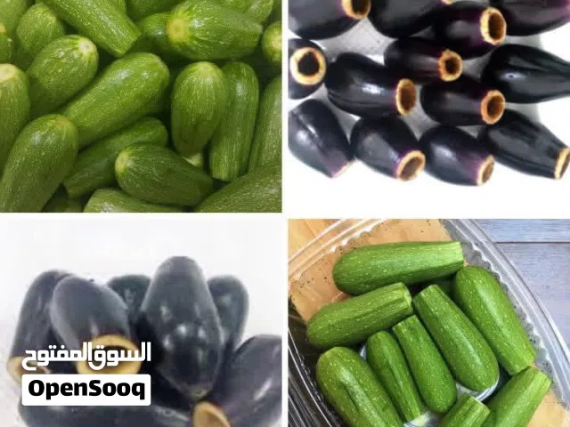 كوسا & باذنجان محفور