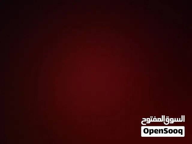 اي حد عنده كلب حجم عود هب الصغار يتواصل معاي ما بتقصر