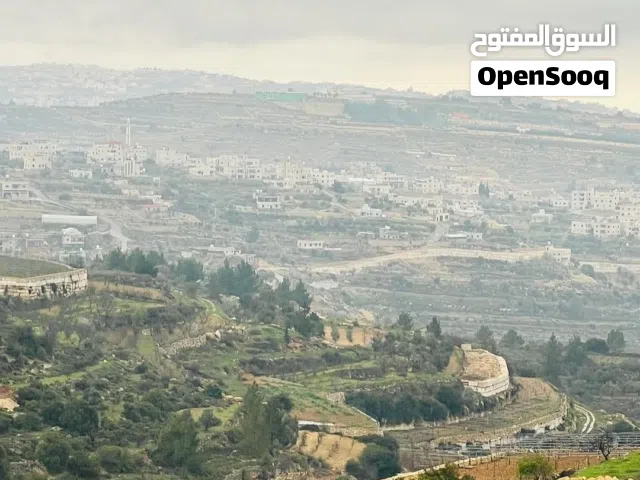 Farm Land for Sale in Jerusalem Other