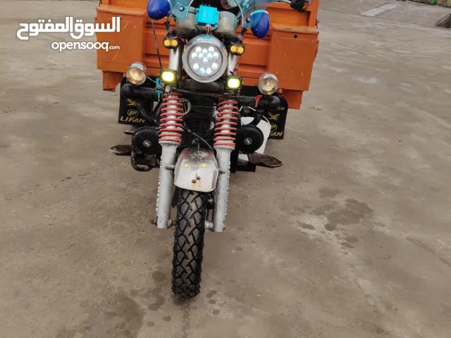 ستوته فرس للبيع موديل 20