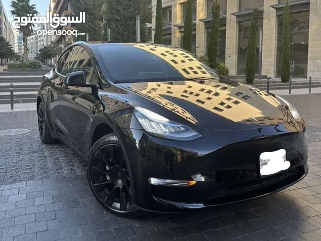 Tesla model y long range 2022