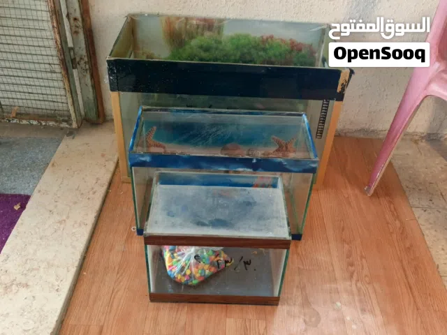 3 احواض سمك للبيع