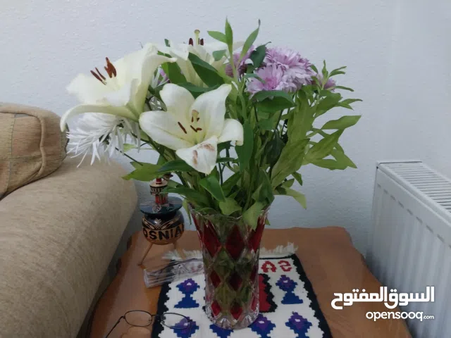 100 m2 2 Bedrooms Apartments for Rent in Irbid Al Rabiah