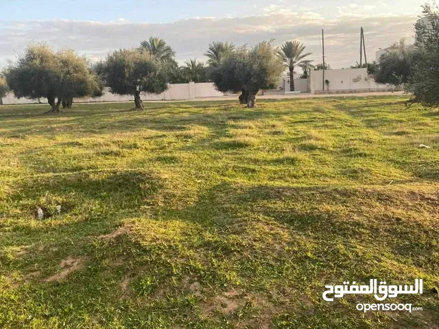 Mixed Use Land for Sale in Tripoli Al-Serraj