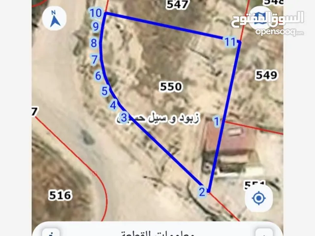 قطع ارض سكنيه في زيود وسيل حسبان