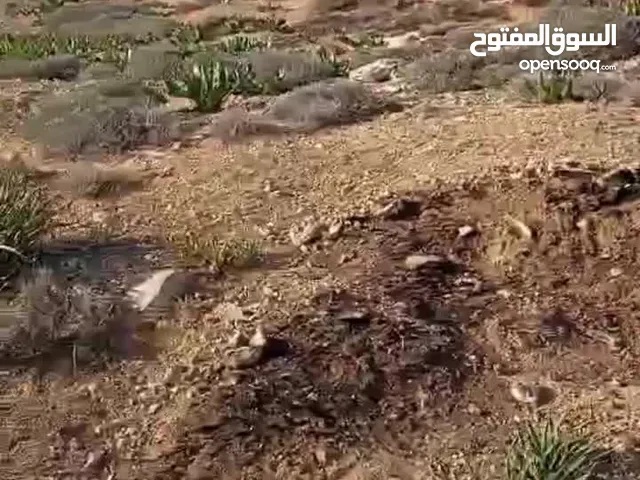 قطعة ارض للبيع