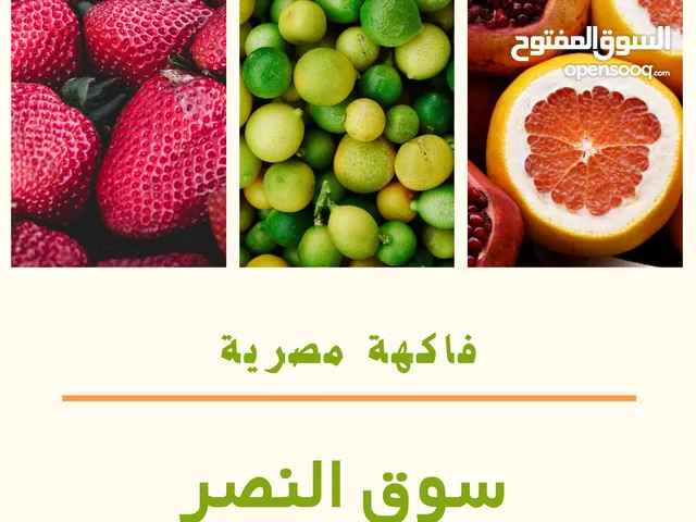 تصدير فاكهة مصرية الى الأردن