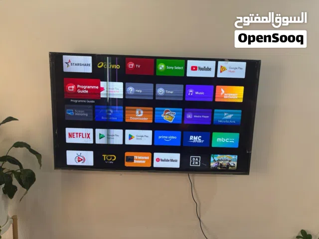Sony Bravia 49 inch Smart TV (Display Damage)