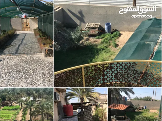 2613 m2 4 Bedrooms Villa for Sale in Basra Abu Al-Khaseeb