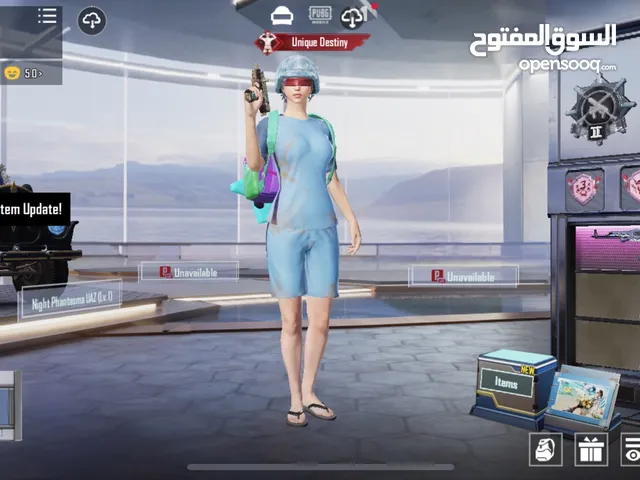 Pubg Accounts and Characters for Sale in Zarqa