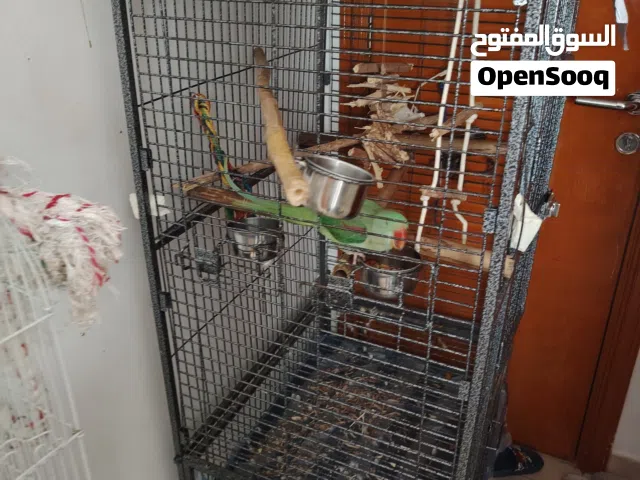قفص ضخم للبيع مناسب لكل ال ببغوات الكبيرة