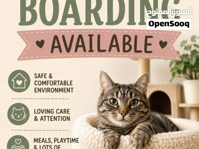Cat Boarding