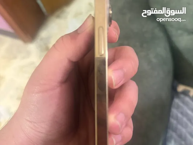 ايفون13برو العادي