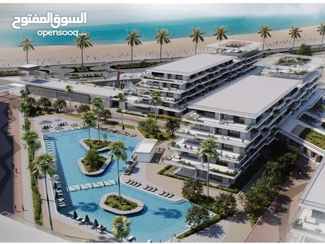 المنصوره الجديده