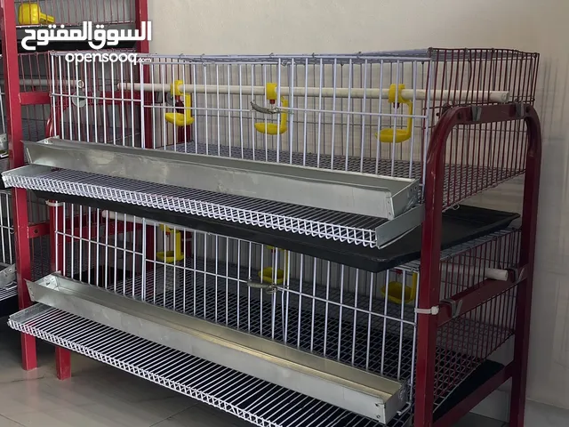 أقفاص الفر البياض والجاج البياض