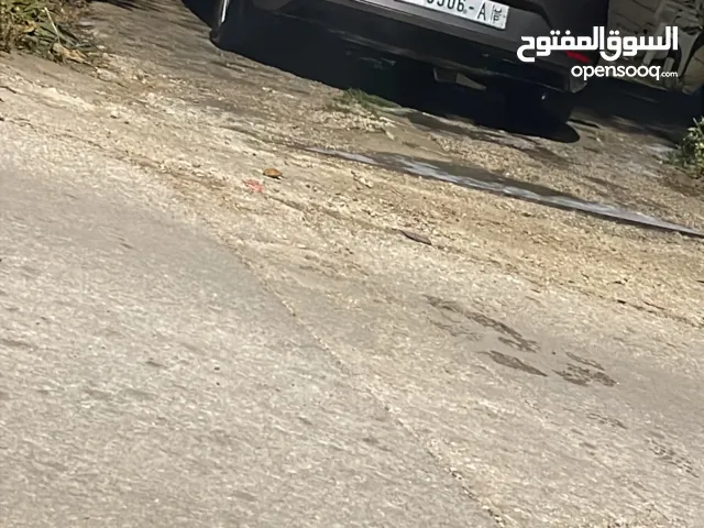 سيات ليون 2017