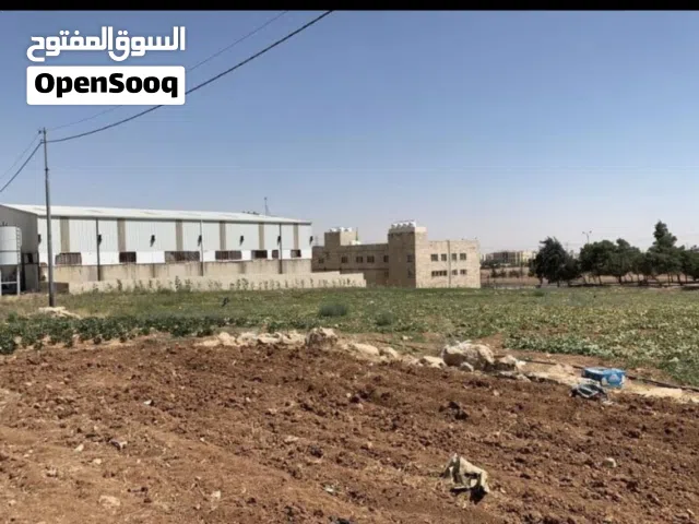 Industrial Land for Sale in Amman Al-Raqim