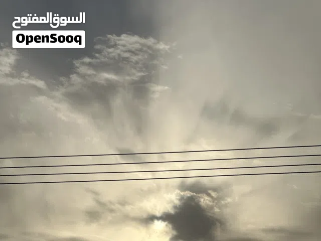 محل اللبيع خلو رجل