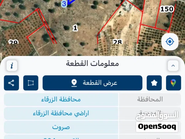 Farm Land for Sale in Zarqa Sarout