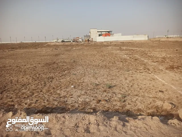 Farm Land for Sale in Basra Al Salheya