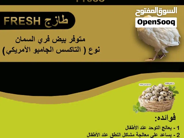 متوفر بيض فري السمان التاكس