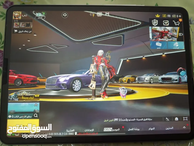 Pubg Accounts and Characters for Sale in Zarqa