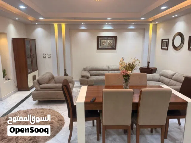 شقه بالفرش 4 غرف المعادى فيو النيل أبراج عثمان
