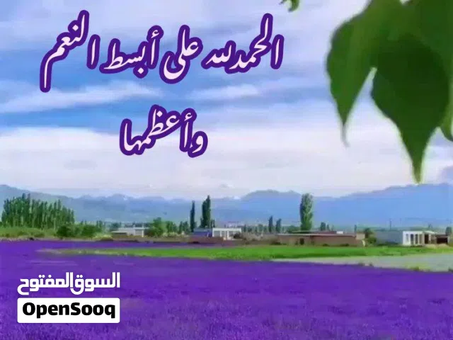 غساله وفرن كهرباء