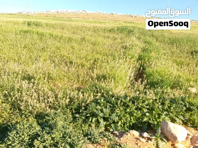 Mixed Use Land for Sale in Mafraq Bala'ama