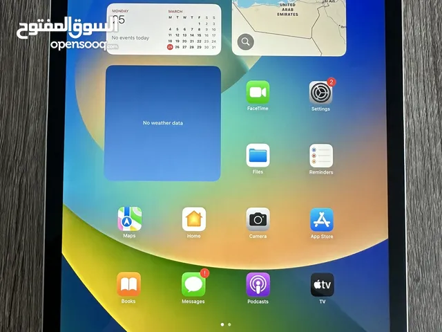 Apple iPad Pro 128 GB in Muscat